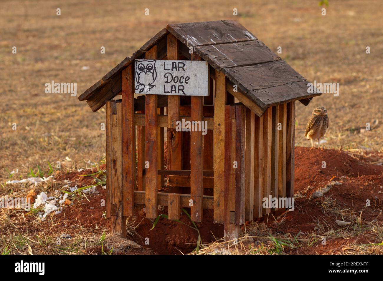 Goiania, Goias, Brasilien – 29. Juli 2023: Ein kleines Haus aus Holz mit einem Schild mit der Aufschrift „Heim süß“ und einer kleinen Eule im Hintergrund. Stockfoto