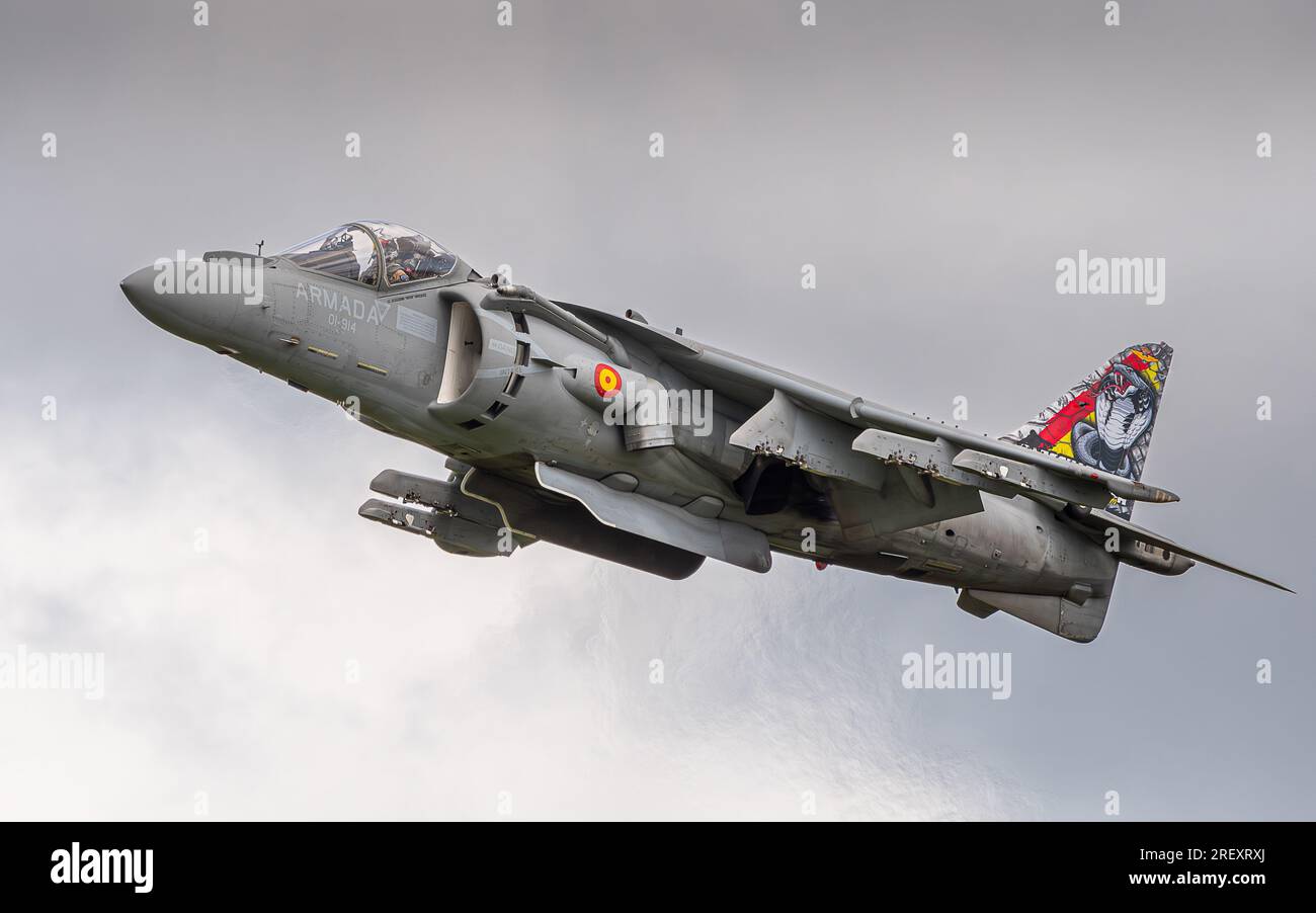 McDonnell Douglas EAV-8B+ Matador II Harrier, Escuadrilla 009 Spanische Marine, Rota. Stockfoto