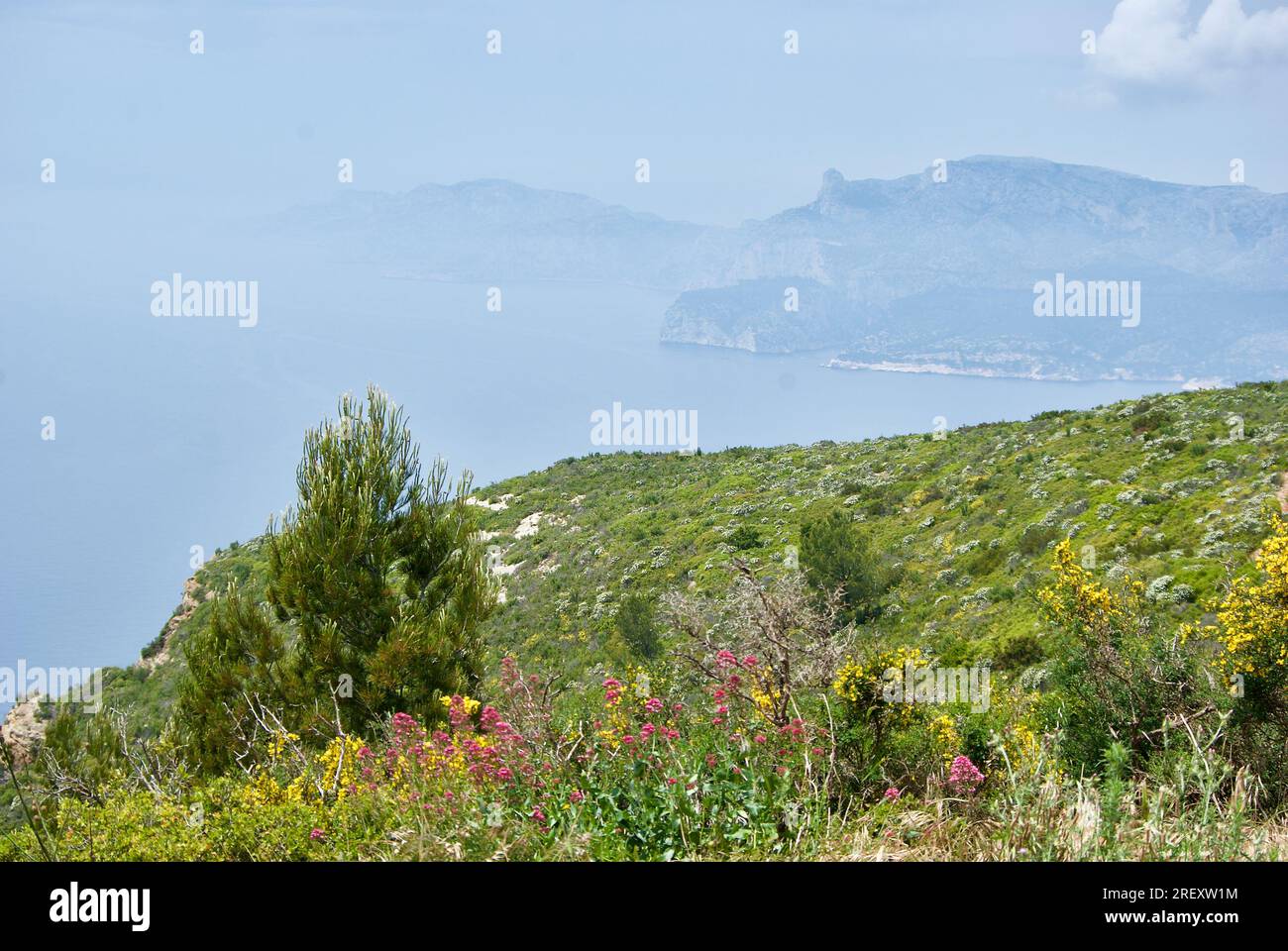 Malerischer Blick von der Küstenstraße Corniche de Crêtes entlang der Cap Canaille am Mittelmeer in Frankreich. Stockfoto