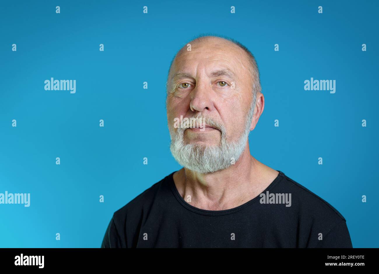 Porträt eines älteren Mannes mit grauem Bart in Freizeitkleidung. Schwarzes T-Shirt, blauer Hintergrund Stockfoto
