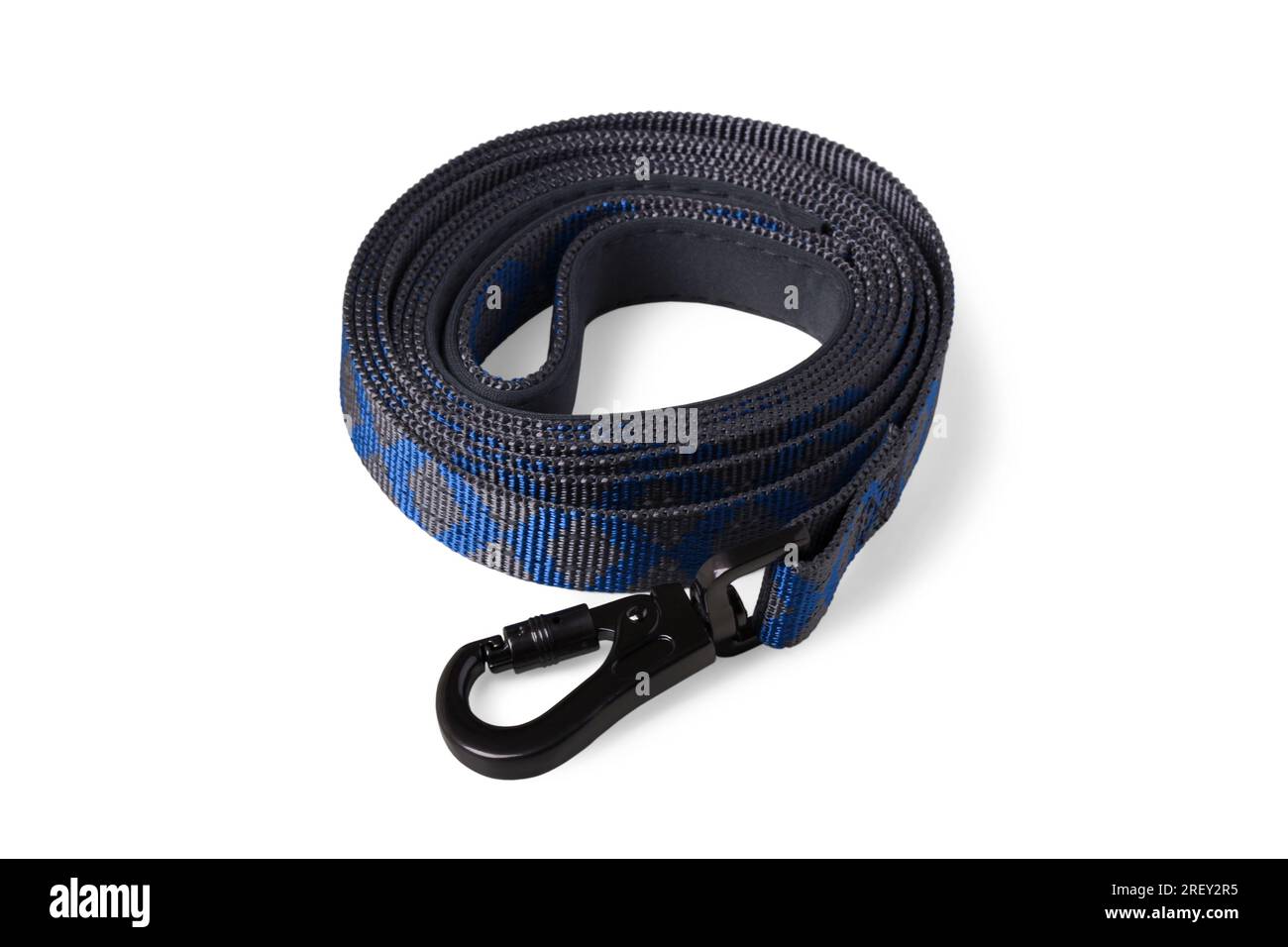 Gurtzeug mit Karabiner für Hunde, auf einer Rolle aufgerollt, isoliert auf weißem Hintergrund Stockfoto