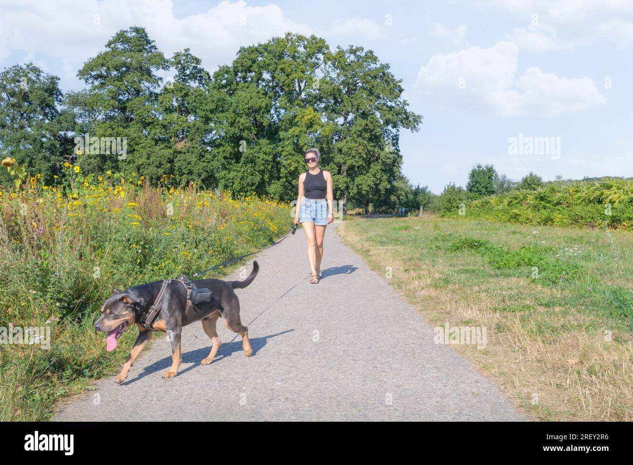 Frau auf einem Spaziergang mit einem Hund, american stafford, mit einer langen automatischen Hundeleine. Stockfoto