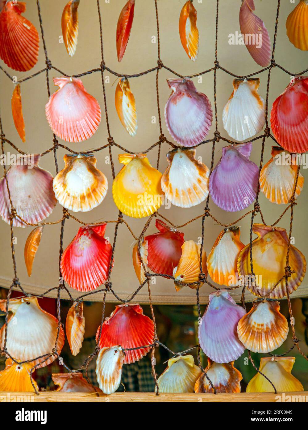 Leere dekorative bunte Muscheln, die an einer Wand hängen Stockfoto