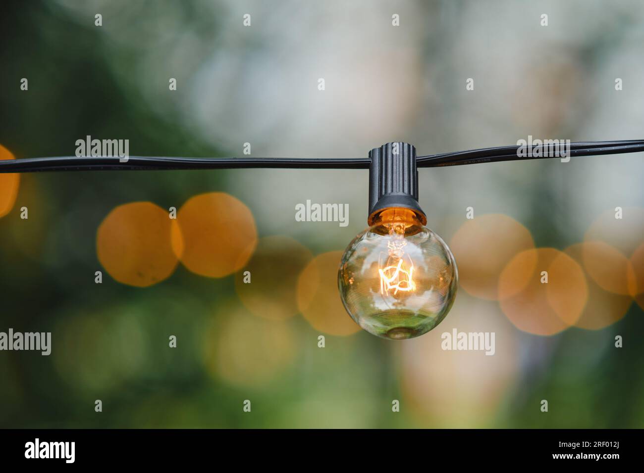 Das elektrisierende Design der Lampe fügt sich nahtlos in die Schönheit der Natur ein. Stockfoto