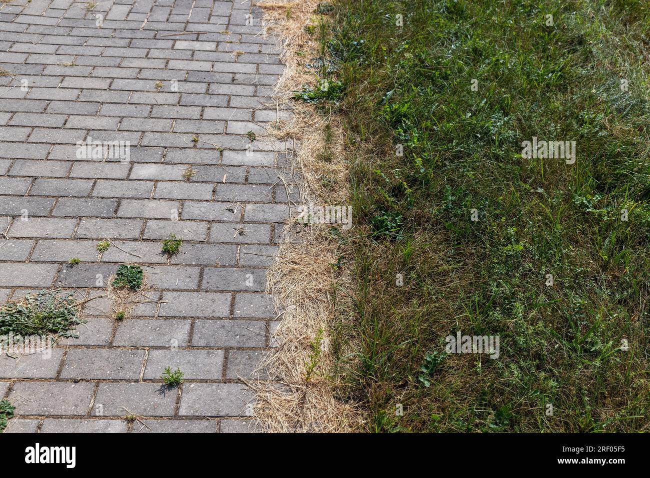 Details der Straße, auf der Gras durch die Fliesen wächst und Nähte in den Fliesen entstehen, ein Teil der Straße wird durch Gras und andere Pflanzen zerstört Stockfoto