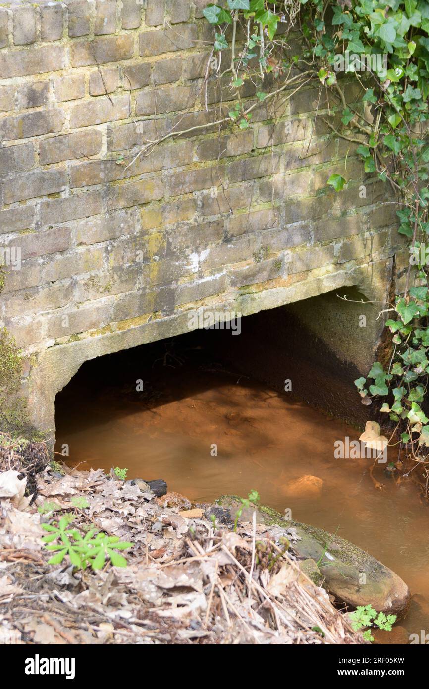 Schmutzwasser in einem Graben für Wasser in einem Waldgebiet. Umweltverschmutzung Stockfoto