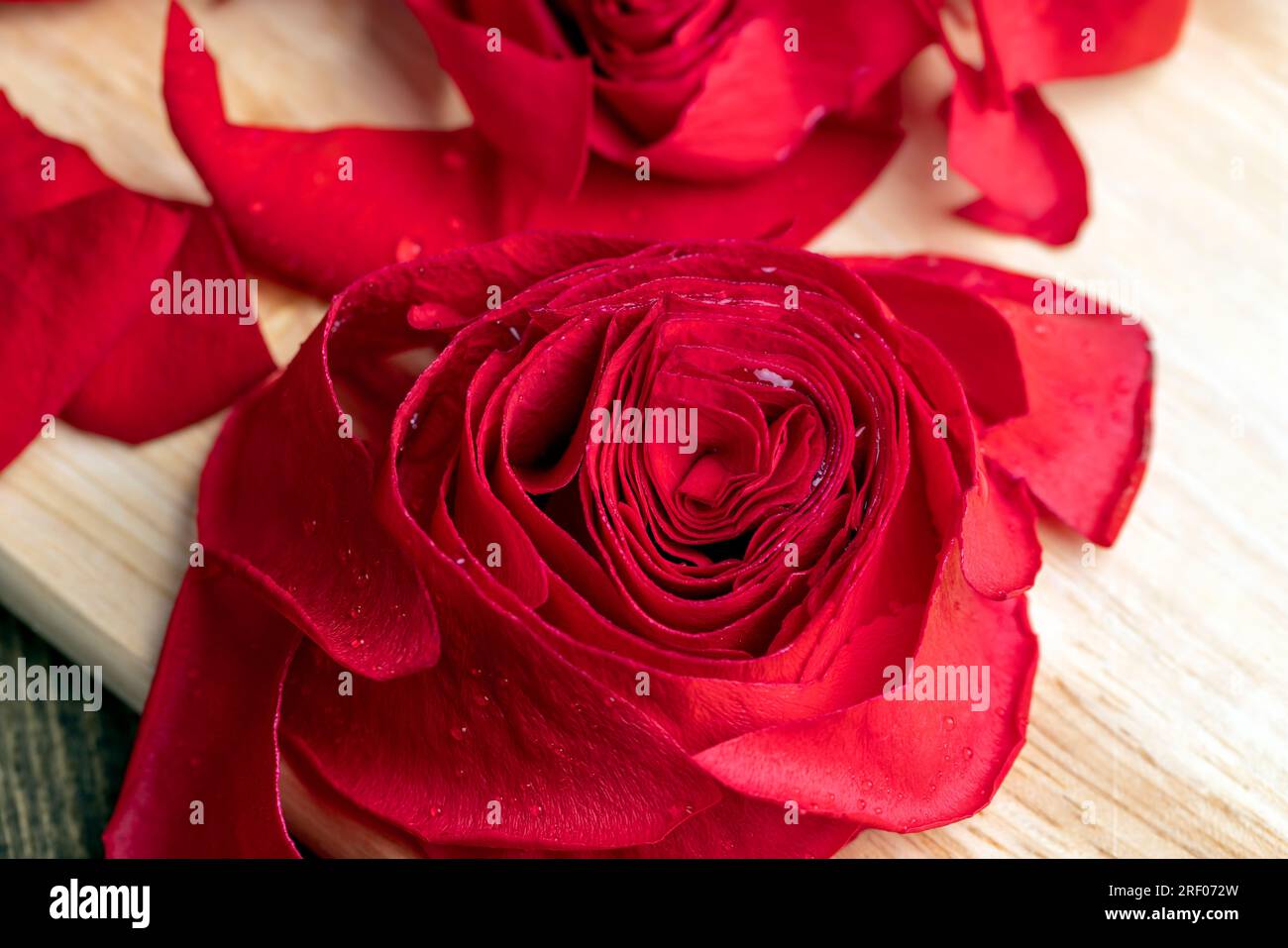 Eine wunderschöne rote Rose in Stücke geschnitten, eine wunderschöne rote Rosenblume in Stücke geteilt Stockfoto