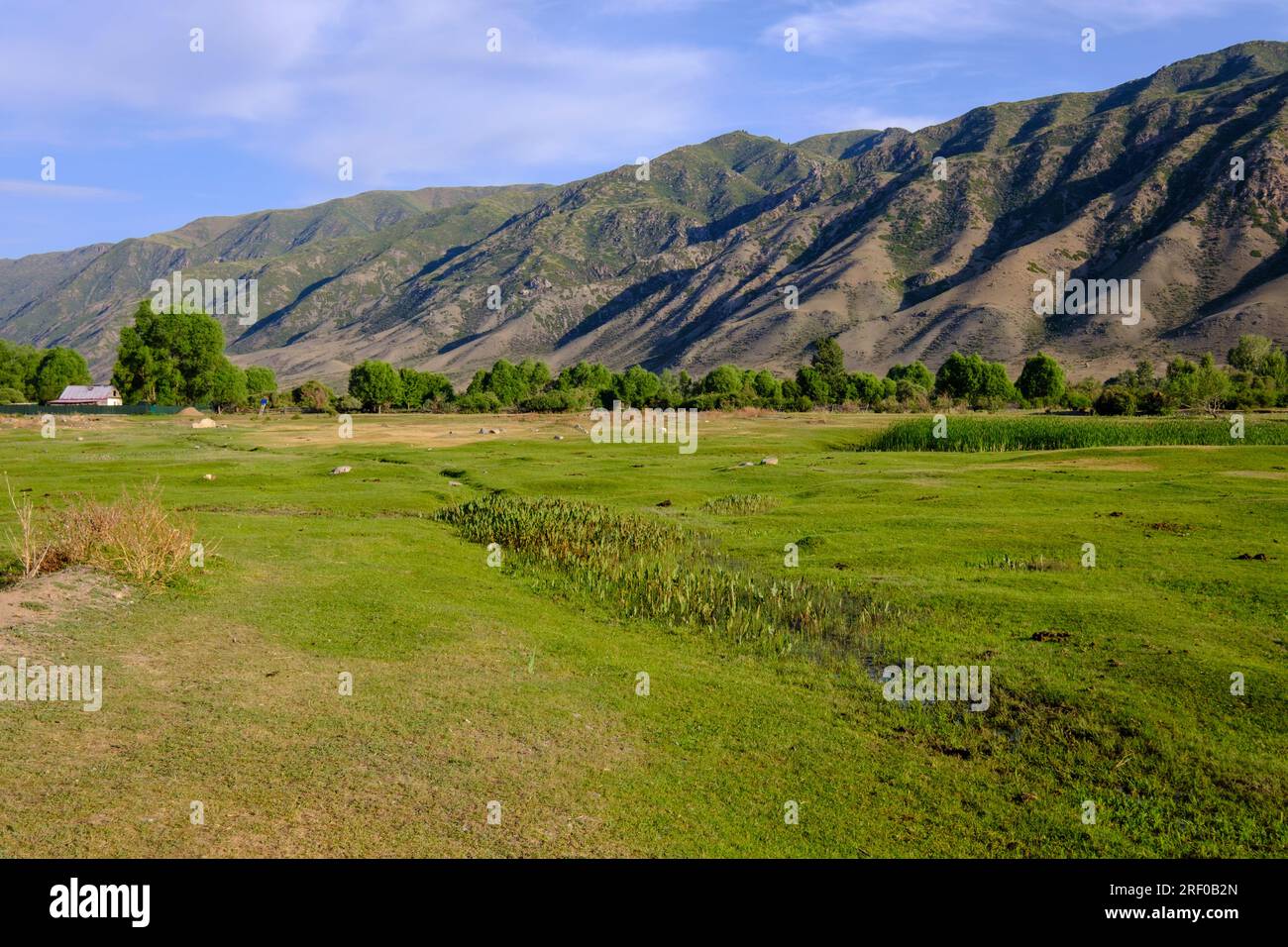 Kasachstan, Saty Village Landscape, Hügel in der frühen Morgensonne. Stockfoto