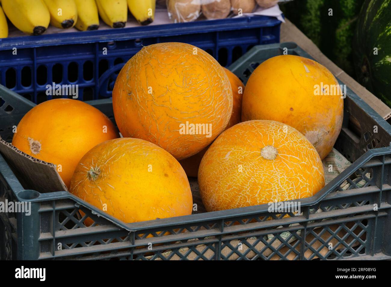 Kasachstan, Bayseit. Melonen zum Verkauf auf dem Markt. Stockfoto