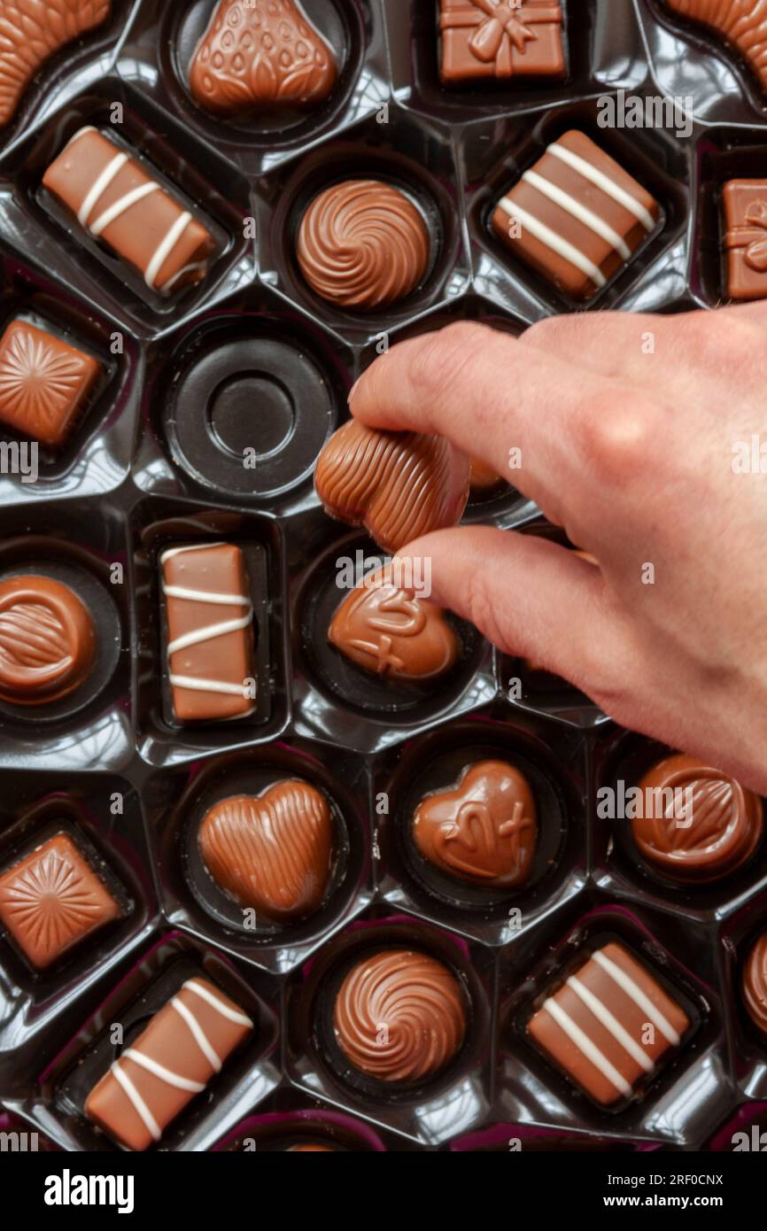 Eine Hand, die eine Schokolade aus einer Schachtel mit Cadburys „Milk Tray“-Pralinen auswählt. Stockfoto