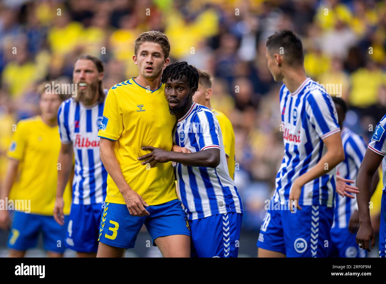 Broendby, Dänemark. 30. Juli 2023. Henrik Heggheim (3) von Broendby IF und Alasana Manneh (8) von Odense BK, gesehen während des 3F. Superliga-Spiels zwischen Broendby IF und Odense BK im Broendby Stadion in Broendby. (Foto: Gonzales Photo/Alamy Live News Stockfoto