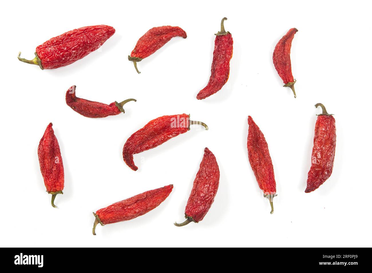 Ein flach liegendes Studiofoto von teilweise trocknenden roten Paprika auf weißem Hintergrund. Stockfoto