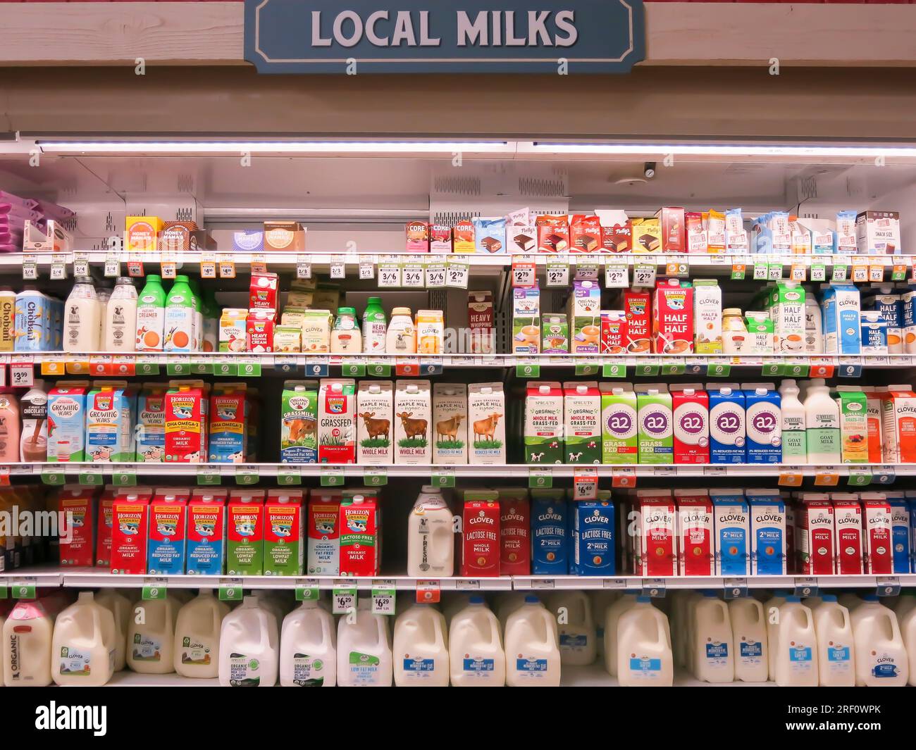 Lokale Milchsorten zum Kauf im Supermarkt Stockfoto