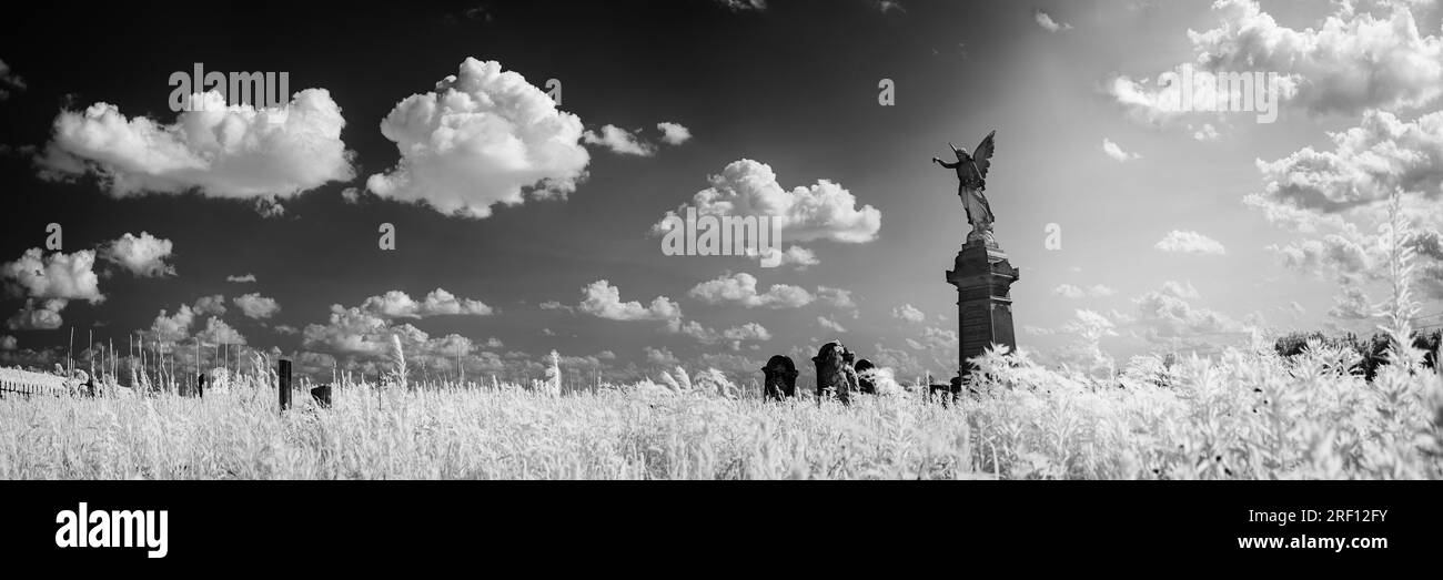 Ein kontrastreiches Schwarz-Weiß-Panorama eines großen Marmorengel-Monuments auf einem ländlichen Friedhof mit hohem Gras. Rustikal und elegant. Stockfoto