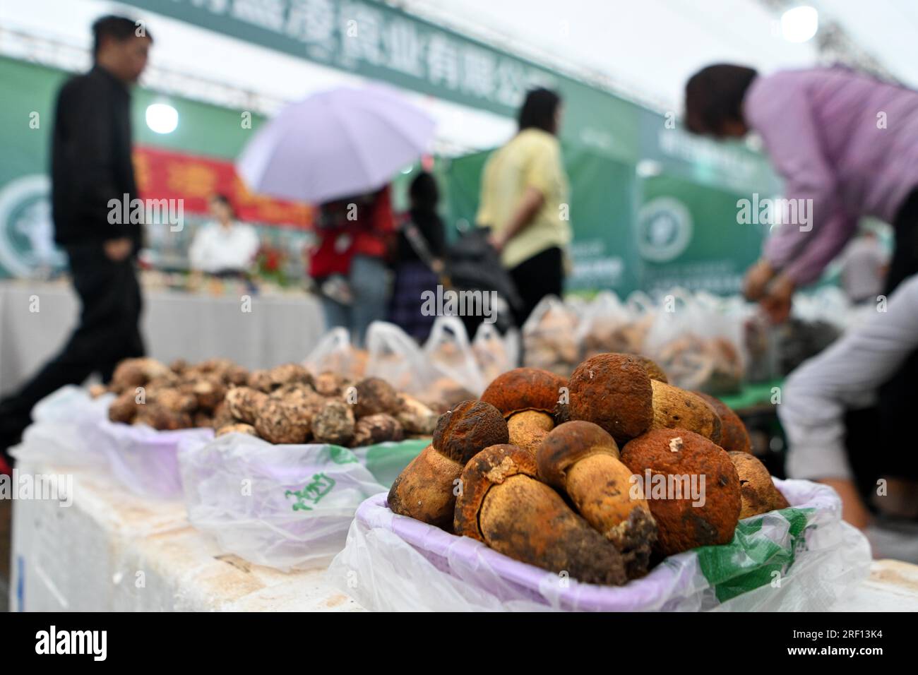 **CHINESISCHES FESTLAND, HONGKONG, MACAU UND TAIWAN OUT** die China Yunnan Wild Mushroom Fair 19. wird in Yuxi City, Provinz Yunnan im Südwesten Chinas, am 28. Juli 2023 eröffnet (Foto von ChinaImages/Sipa USA). Guthaben: SIPA US/Alamy Live News Stockfoto