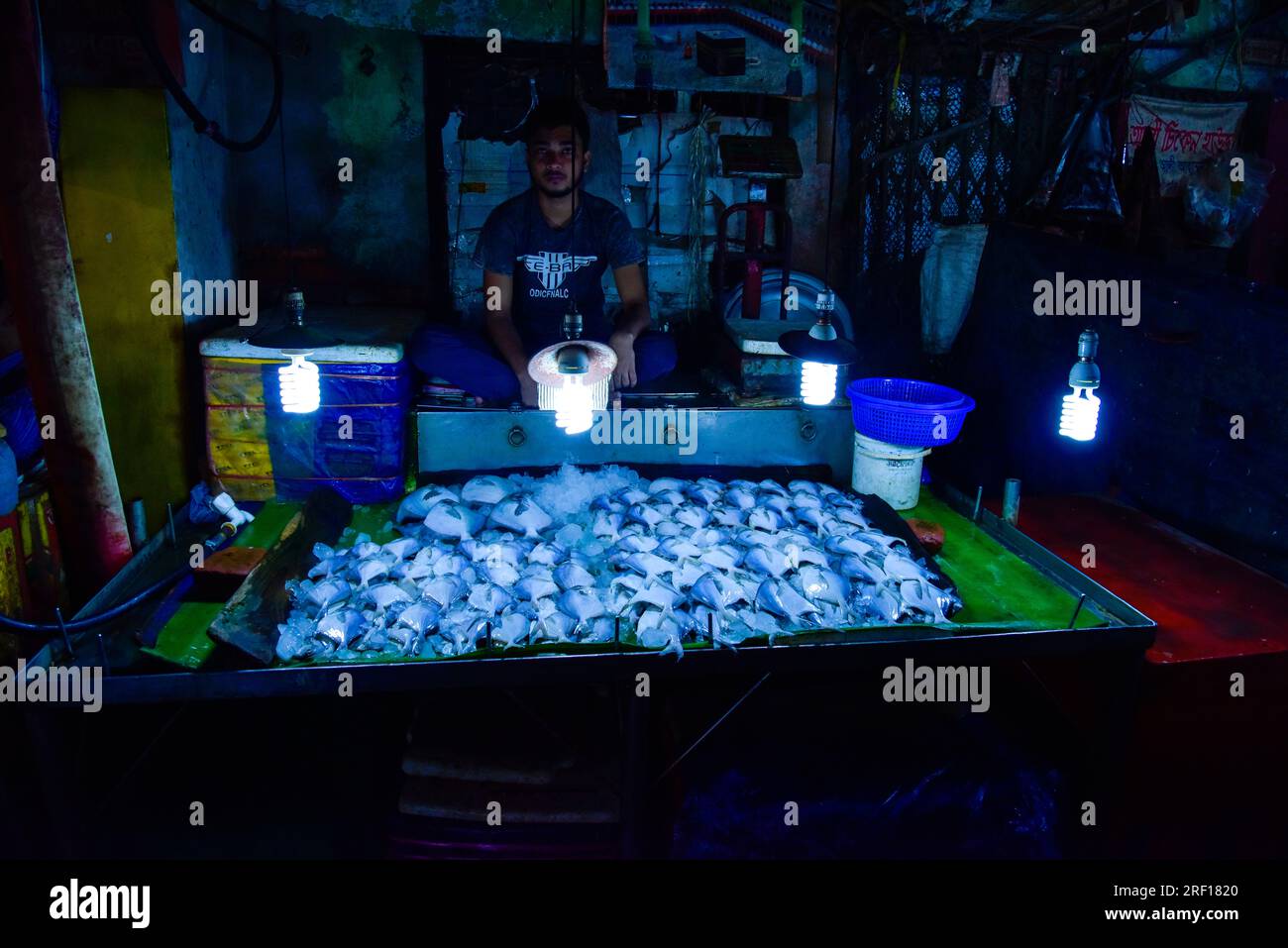 Silber-Pomfret-Fisch auf Eis unter blauem Licht verkauft sich auf dem Markt in Bangladesch Stockfoto