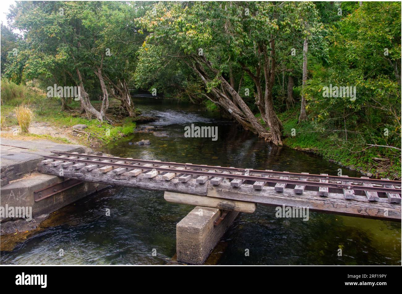 Schmalspurbahn-Brücke über Little Mulgrave River, Sugar Cane Hauling, Mulgrave Valley, Cairns, Australien. Stockfoto