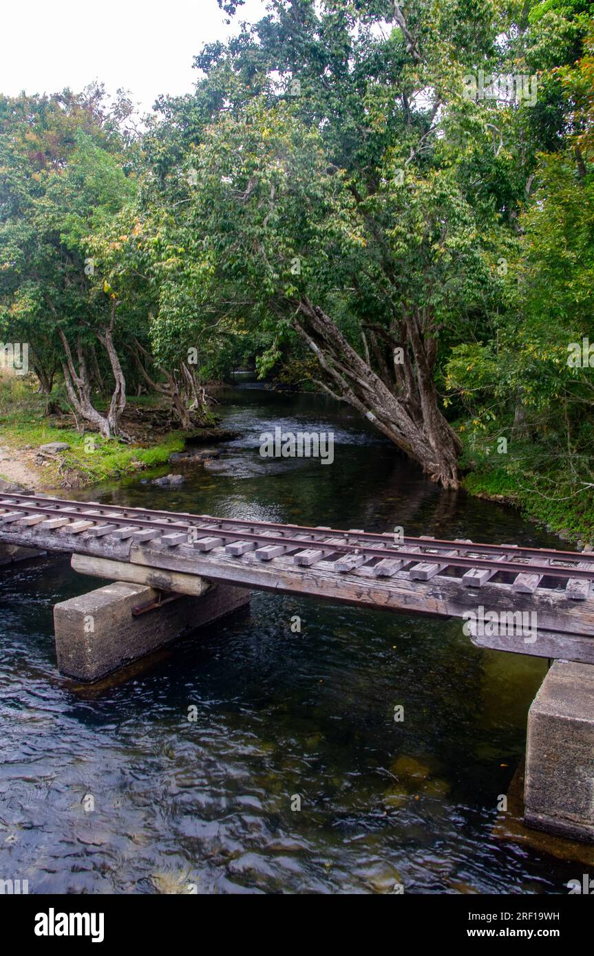 Schmalspurbahn-Brücke über Little Mulgrave River, Sugar Cane Hauling, Mulgrave Valley, Cairns, Australien. Stockfoto