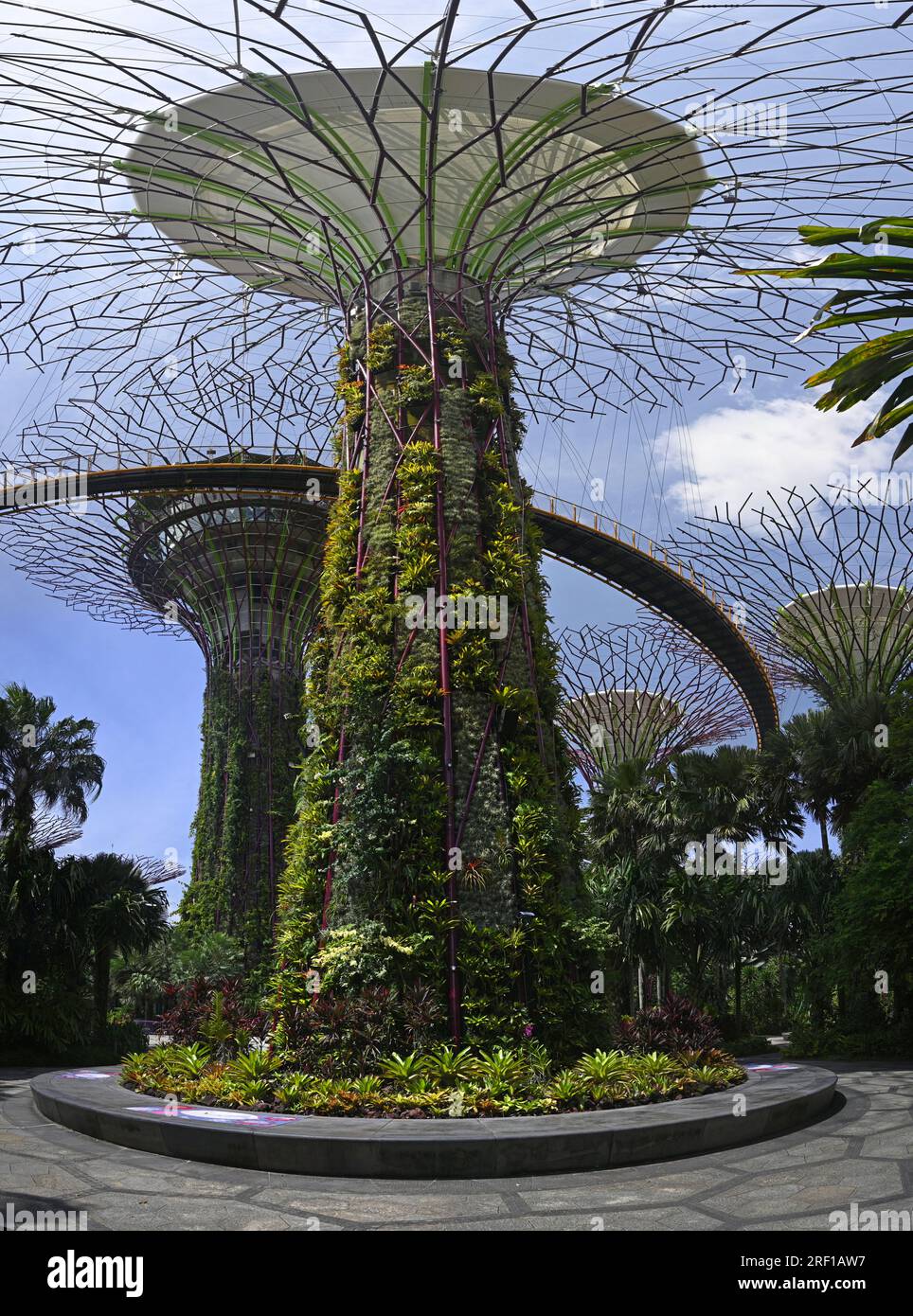 Künstliche Superbäume und Fußweg in den Marina Bay Gardens, Singapur Stockfoto
