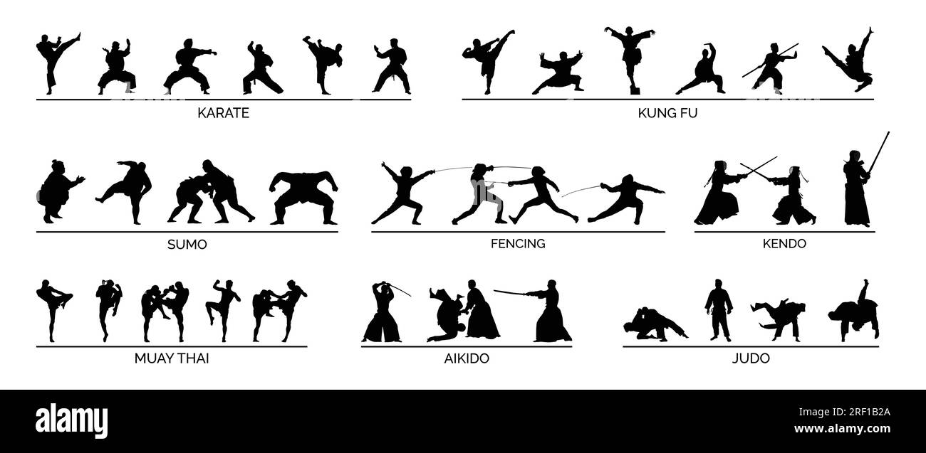 Martial Arts Silhouette für jeden Designzweck Stock Vektor