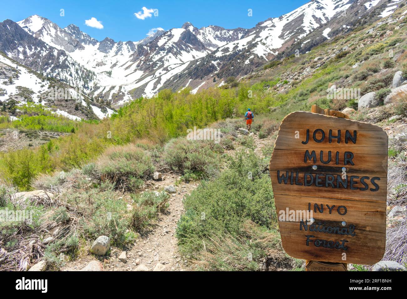 Auf der Reise durch die John Muir Wilderness erkundet ein Wanderer den ruhigen McGee Creek Trail, der von der Pracht der High Sierras umgeben ist. Stockfoto