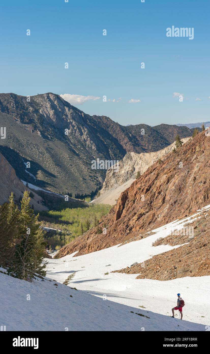 Alleinwanderer auf dem schneebedeckten McGee Pass Trail, Mammoth Lakes, CA. Stockfoto