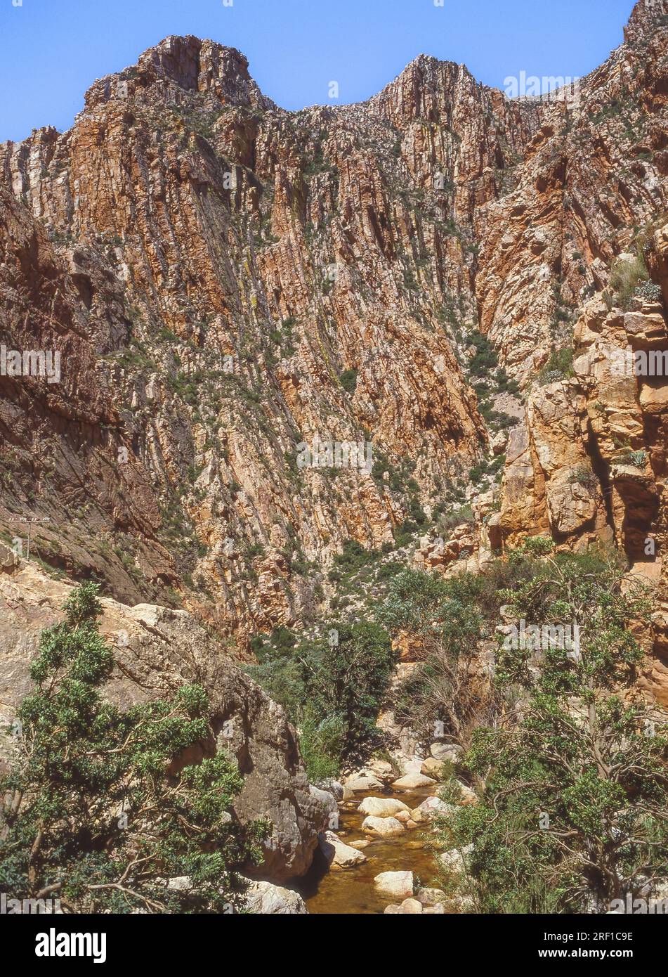Der Swartberg-Pass führt über die Swartberg-Berge am Rand der Little Karoo in der Provinz Westkap von Südafrika. Stockfoto