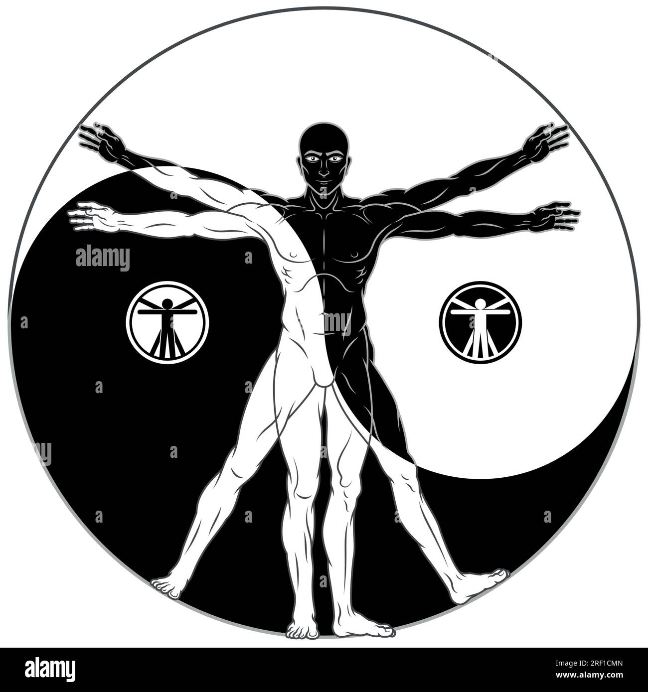 Illustration des Vitruvianischen Mannes, Untersuchung der Anatomie des menschlichen Körpers, Canon menschlicher Proportionen mit Yinyang-Symbol Stock Vektor