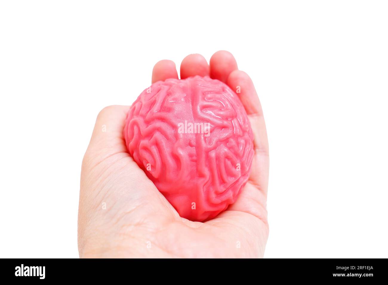 Nahaufnahme einer Hand, die ein gelee-ähnliches menschliches Gehirnmodell zusammendrückt, isoliert auf Weiß. Herausforderungen und intensives mentales Engagement. Stockfoto