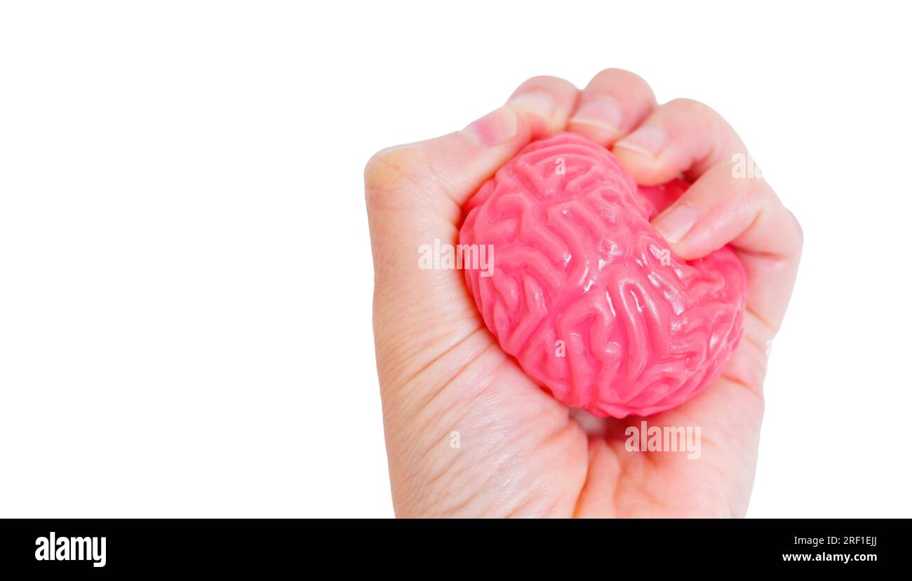 Nahaufnahme einer Hand, die ein weiches, gelartiges menschliches Hirnmodell greift, isoliert auf weißem Hintergrund mit Kopierbereich. Erforschung und Entwicklung von Mentalität Stockfoto