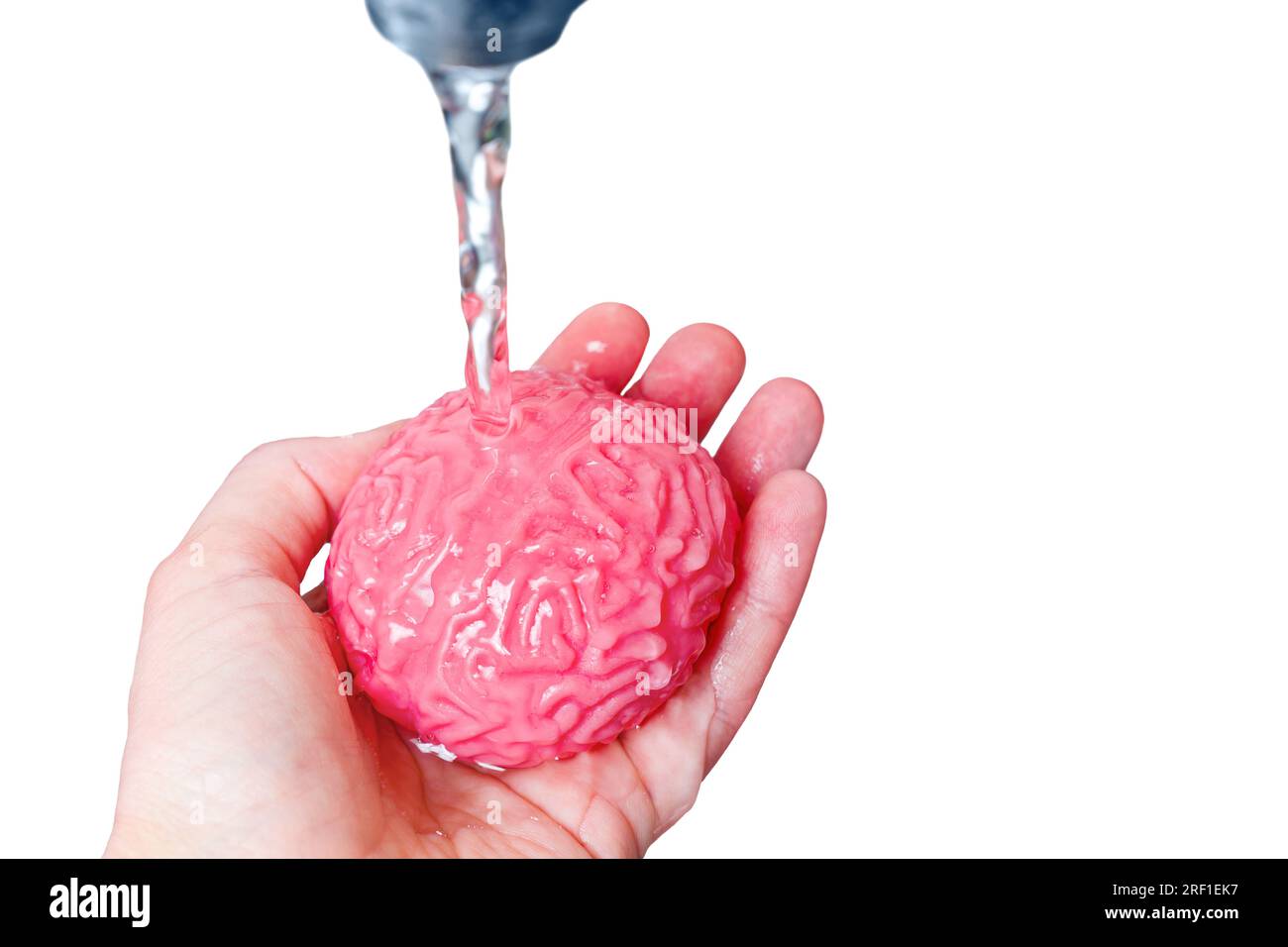Das gelee-ähnliche Modell des menschlichen Gehirns, das unter einem stetigen Wasserstrahl aus einem Wasserhahn gespült wird. Psychohygiene, Selbstfürsorge, Achtsamkeit und das Streben Stockfoto