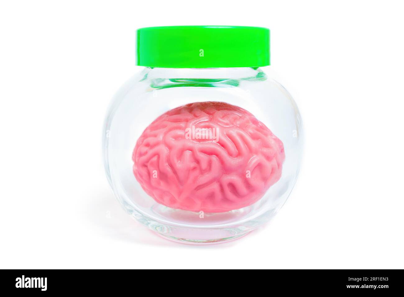 Rosafarbenes, gelee ähnliches menschliches Hirnmodell in einem Glasgefäß, isoliert auf weißem Hintergrund. Kreatives Konzept in Bezug auf Neurologie, Neurowissenschaften und Brai Stockfoto
