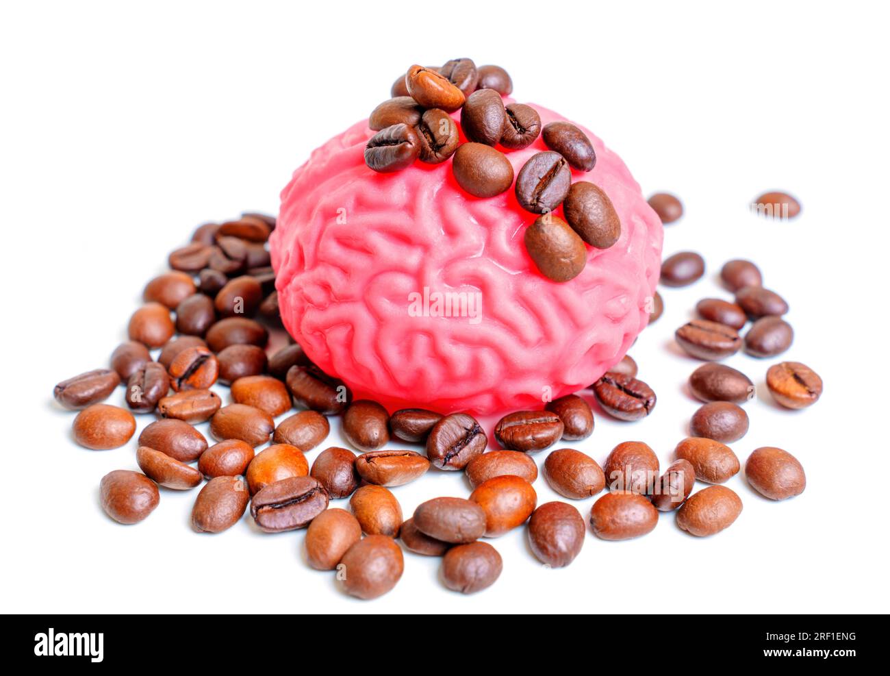 Ein Haufen aromatischer Kaffeebohnen umfasst ein sorgfältig gefertigtes Modell des menschlichen Gehirns. Kaffee als Katalysator für geistige Stimulation und Wissen ac Stockfoto