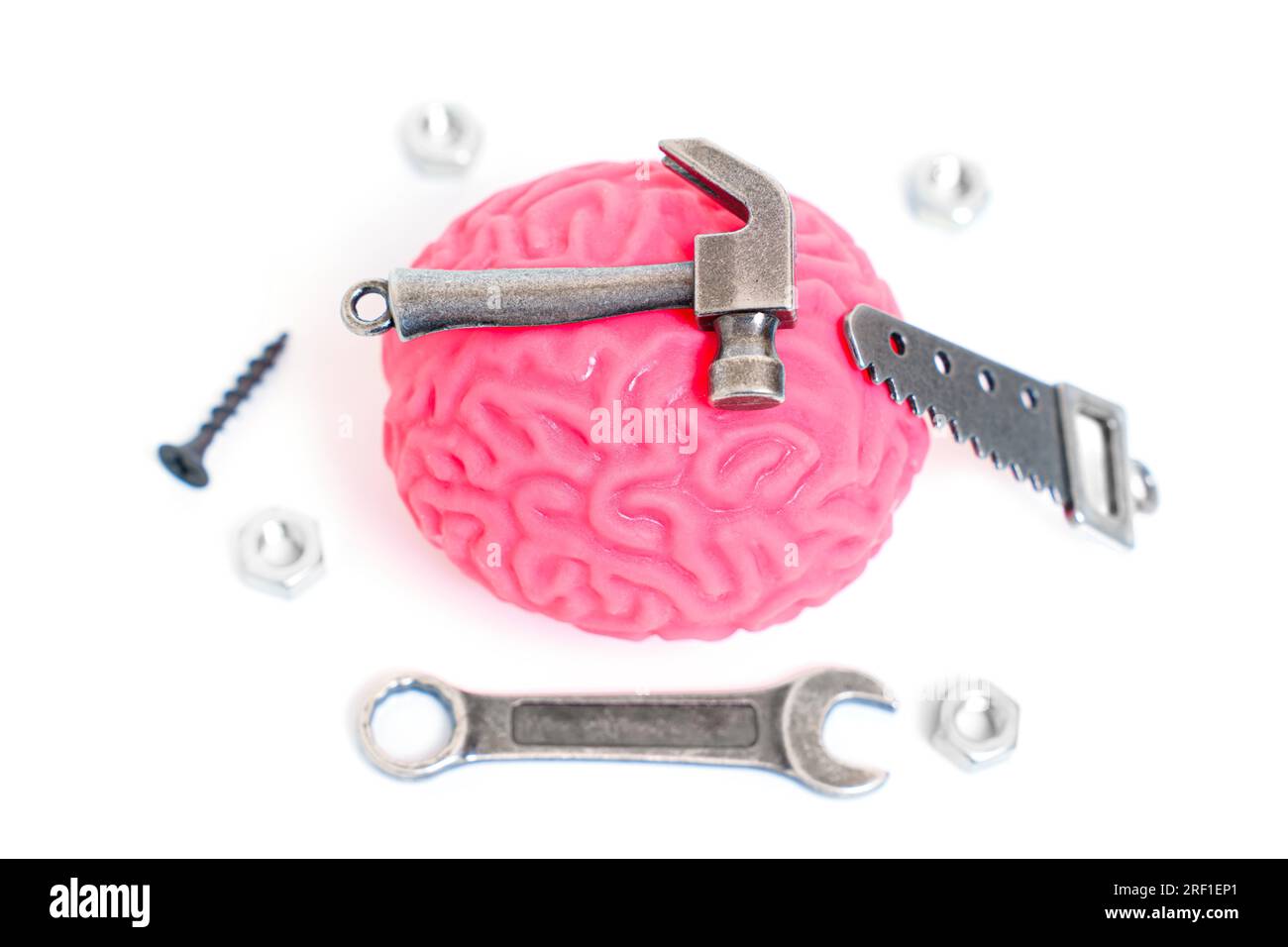 Rosafarbenes menschliches Hirnmodell, begleitet von Miniatur-Handwerkzeugen wie Hammer, Säge, Schraubenschlüssel und Befestigungselementen, isoliert auf weiß. Kreative Selbstverbesserung und Stockfoto