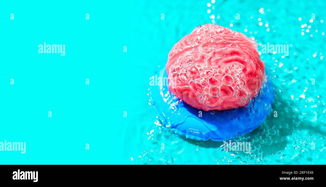 Das menschliche Hirnmodell schwimmt auf einem aufblasbaren Schlauch im Pool. Kreatives, aufmerksames Pool-Time-Konzept. Stockfoto