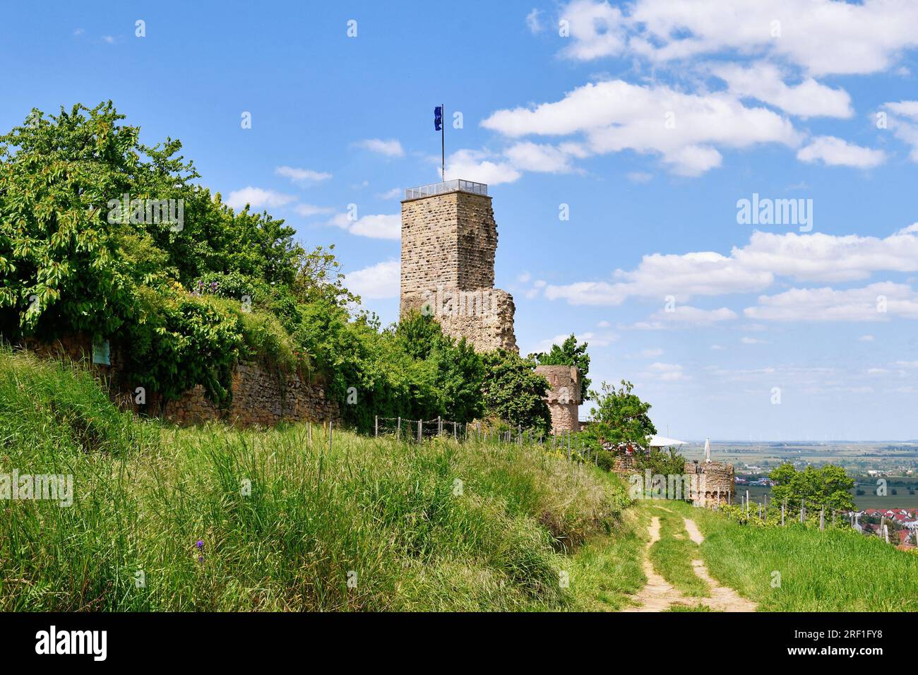 Die Stirnburgruine Wachtenburg in der Stadt Wachenheim in Rheinland-Pfalz Stockfoto