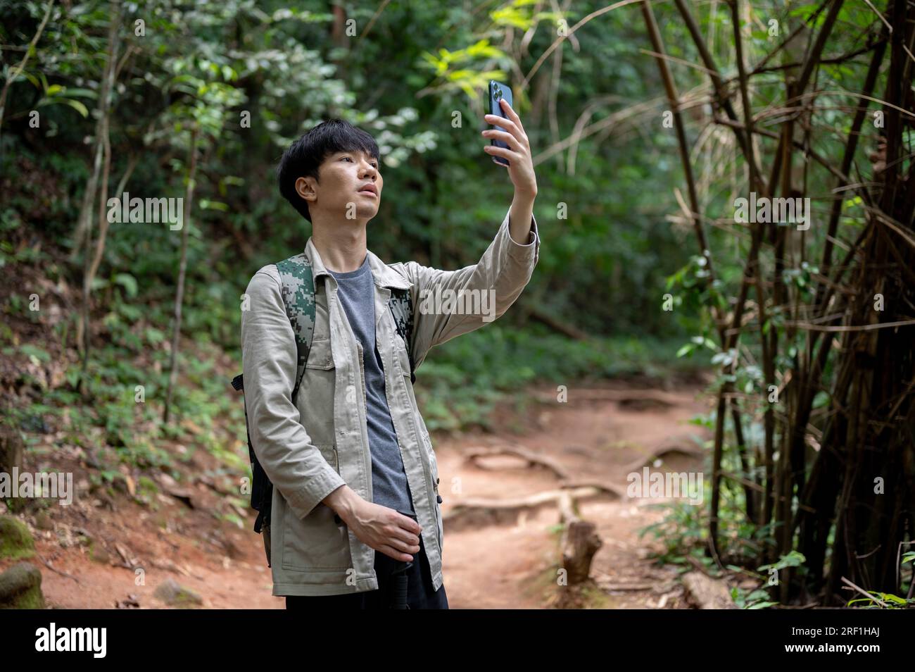 Ein verwirrter und ernsthafter männlicher asiatischer Reisender, der sein Smartphone in der Hand hält und seine Internetverbindung überprüft, verirrt sich im Wald, während er alleine wandert. Stockfoto