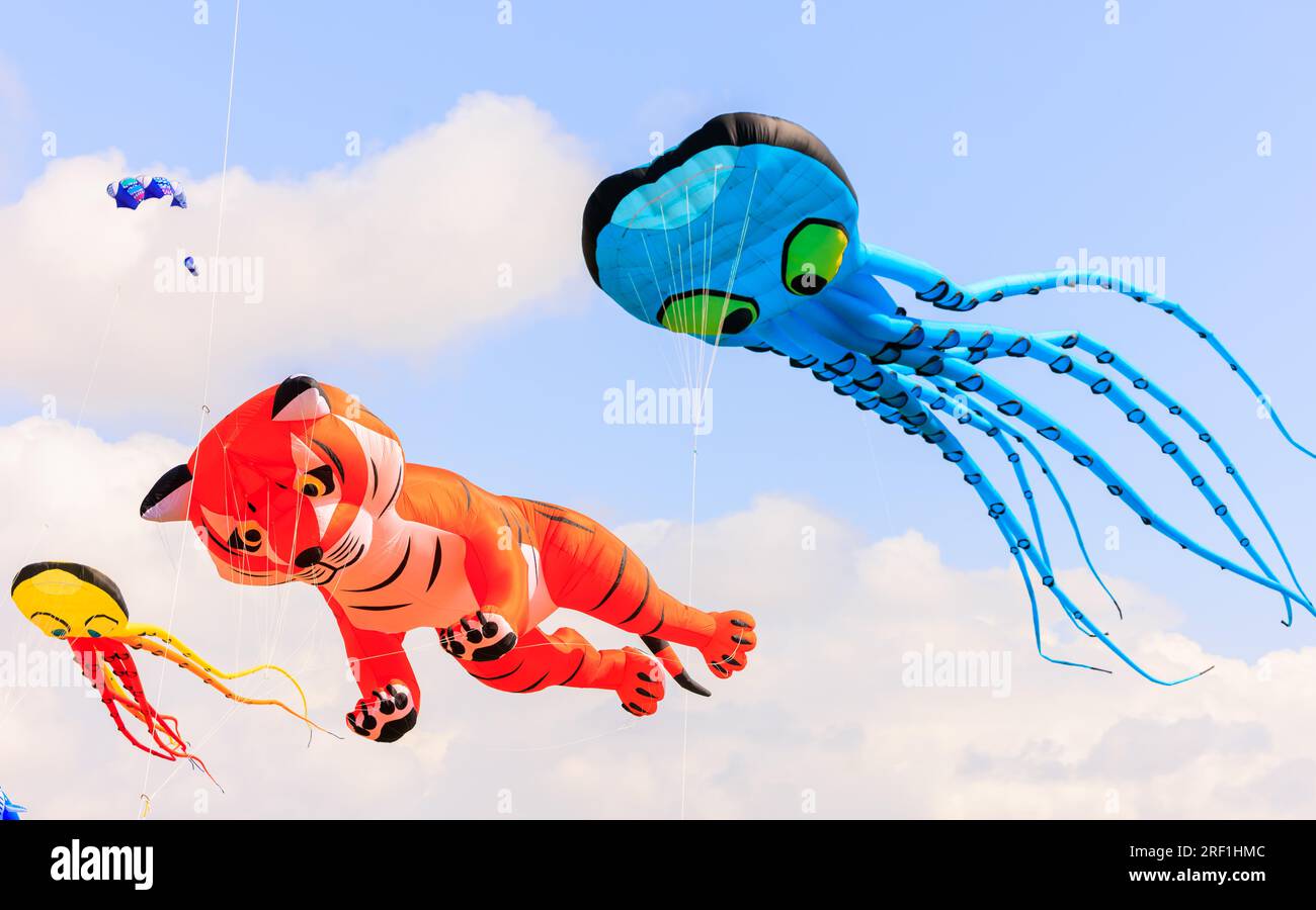 Eine Sammlung von Hunderten atemberaubenden 3D Drachen schmückte heute Morgen die Skyline von Southsea in Hampshire im Rahmen des jährlichen Portsmouth International Kite Festival. Die abgebildeten Drachen enthielten Designs von Tieren von Katzen über Kühe bis hin zu Meeresbewohnern, von denen viele größer als ein Auto waren. Stockfoto