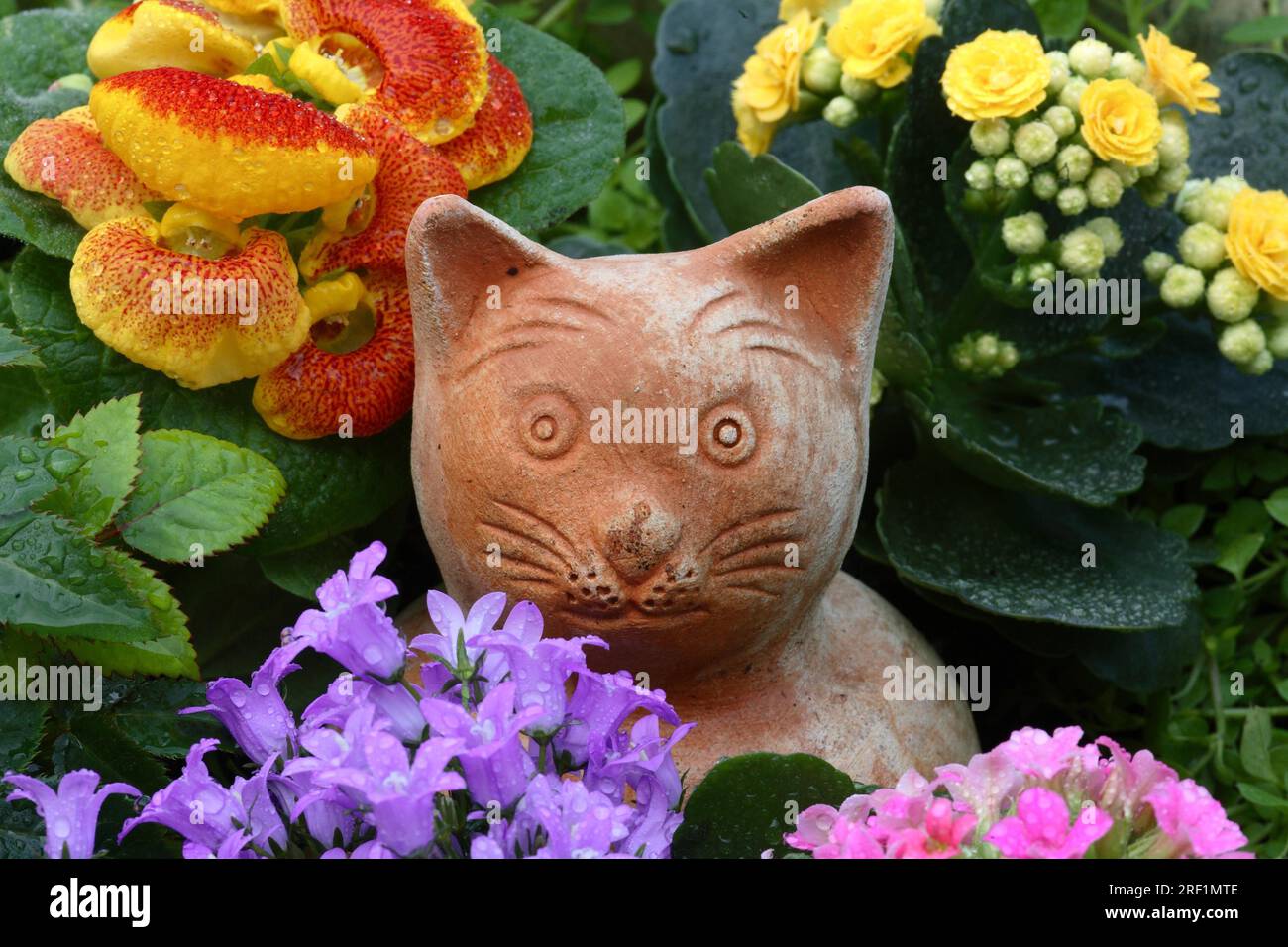 blumenkasten 50 cm hoch JARDI 50 Anthrazit – Balkonkasten 50x17x17 cm 8 kg Naturschiefer Schwa –  CLIMAQUA main image 1