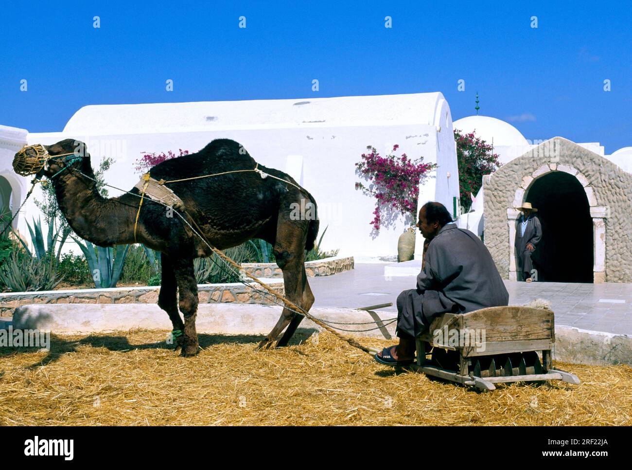 Freiluftmuseum in Guellala auf Djerba, Tunesien Stockfoto