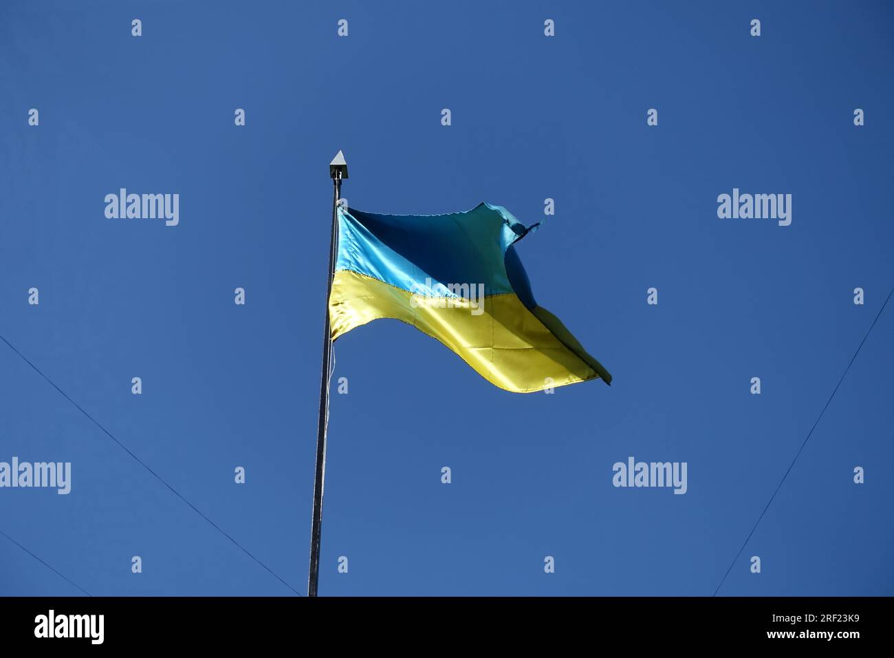 Die ukrainische Flagge winkt im Wind in einem blauen Himmel Stockfoto