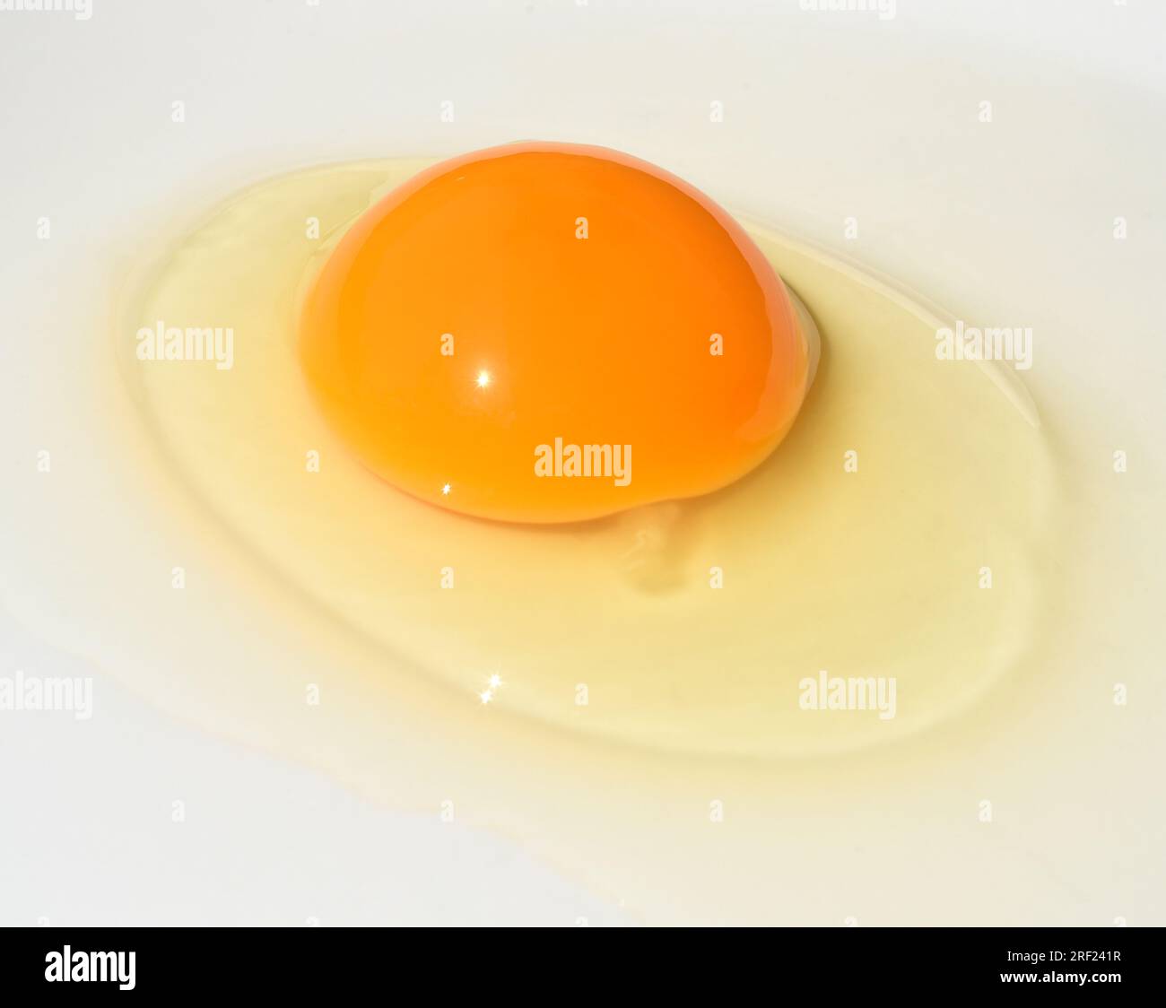 Ei, Huehnerei bzw. Eier ist ein wichtiges tierisches Lebensmittel. Eier, Hühnereier oder Eier sind ein wichtiges Tierfutter. Stockfoto
