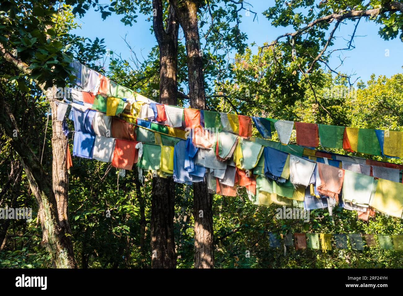 Datum: 14. Oktober 2022. Dehradun, Uttarakhand, Indien. Tibetische Gebetsflaggen schmücken die Himalaya-Wege und Gipfel. Farbenfrohe, rechteckige Stoffsegnungen. Stockfoto