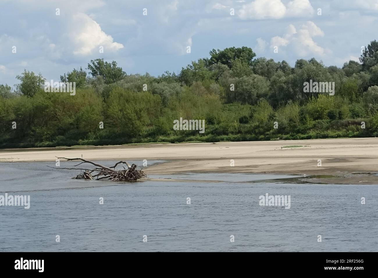 Klimawandel: Die Weichsel, der wichtigste polnische Fluss, befindet sich aufgrund des Austrocknens auf dem niedrigsten Stand Stockfoto