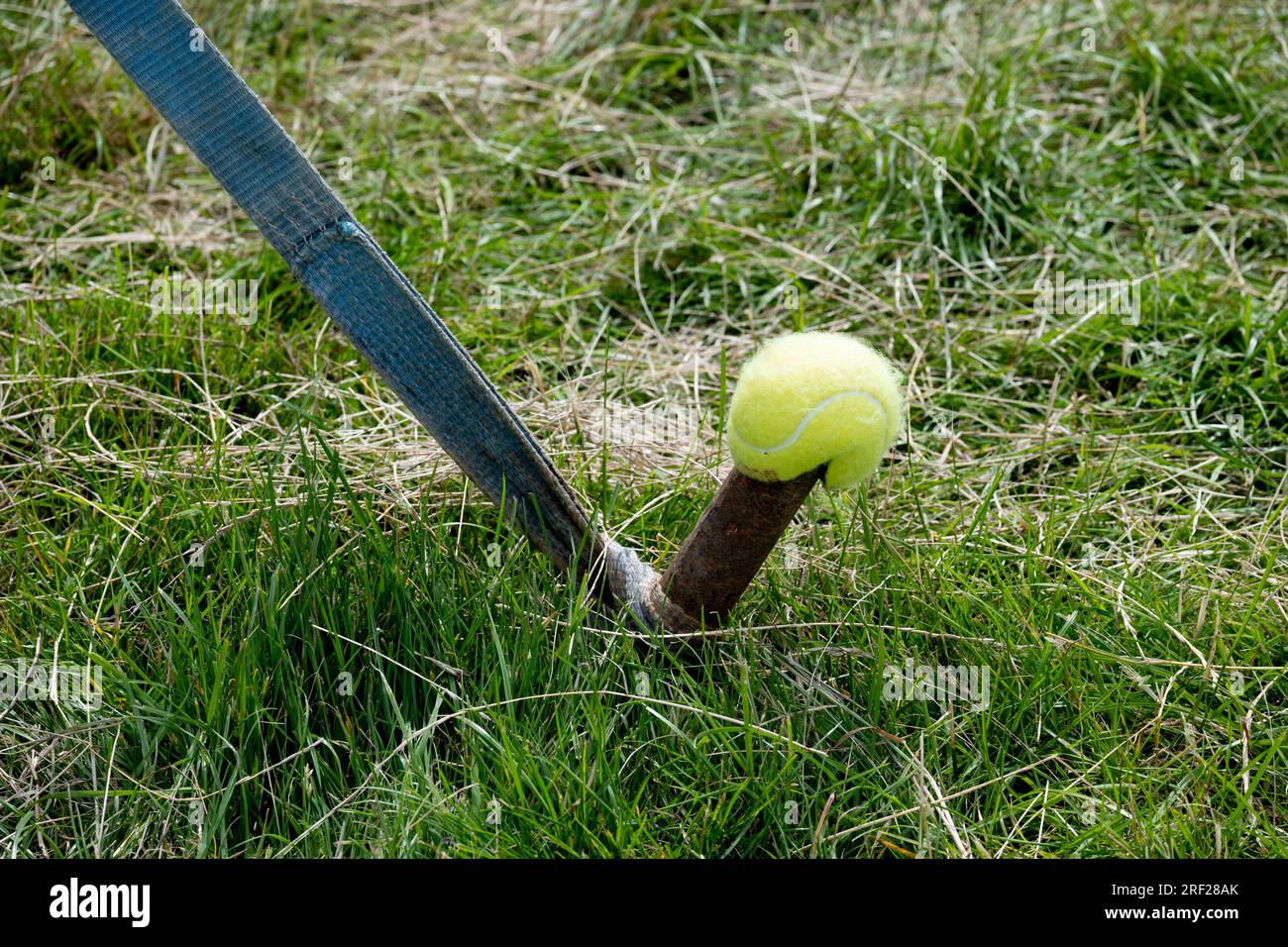 Ein Tennisball, der eine Kerlnadel auf einem Festzelt verdeckt. Stockfoto
