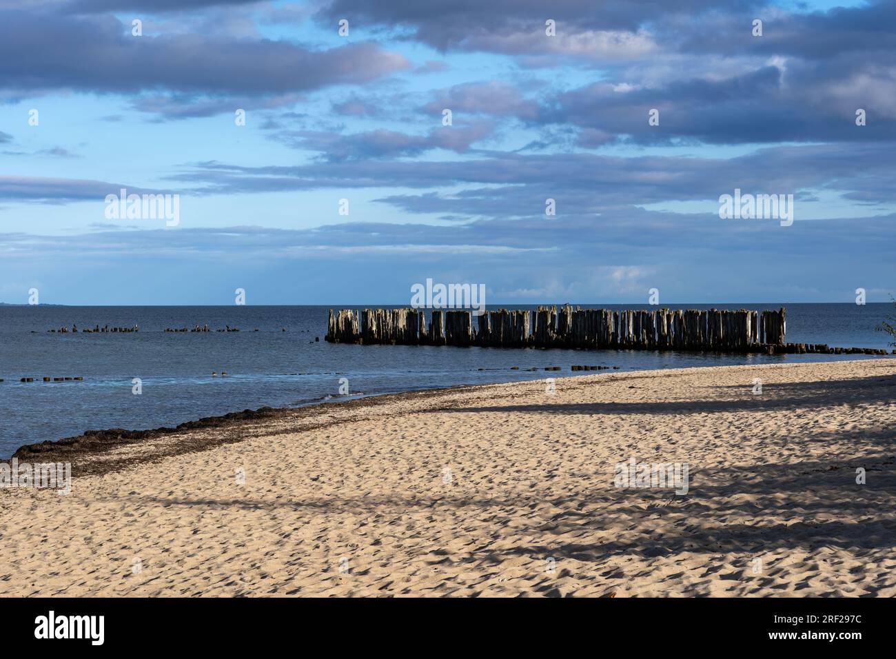 Sandstrand und Pier bleiben an der Ostsee in Babie Doly, Gdynia, Polen. Stockfoto