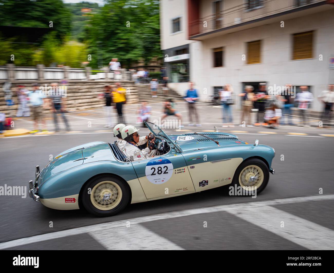 1955 AUSTIN HEALEY 100/4, Mille Miglia 2023 Start in Brescia Stockfoto