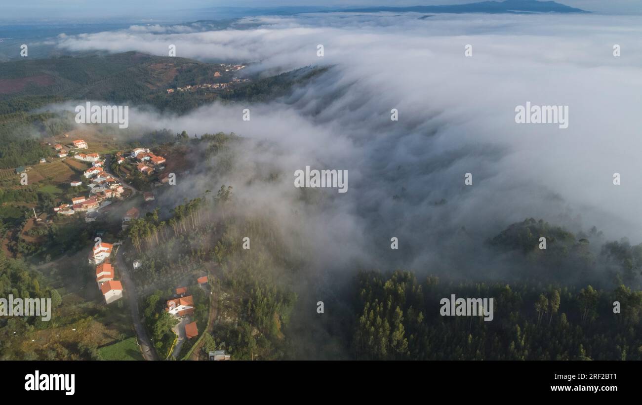 Nebel-Meer, das in den Bussaco-Wald eindringt. Stockfoto