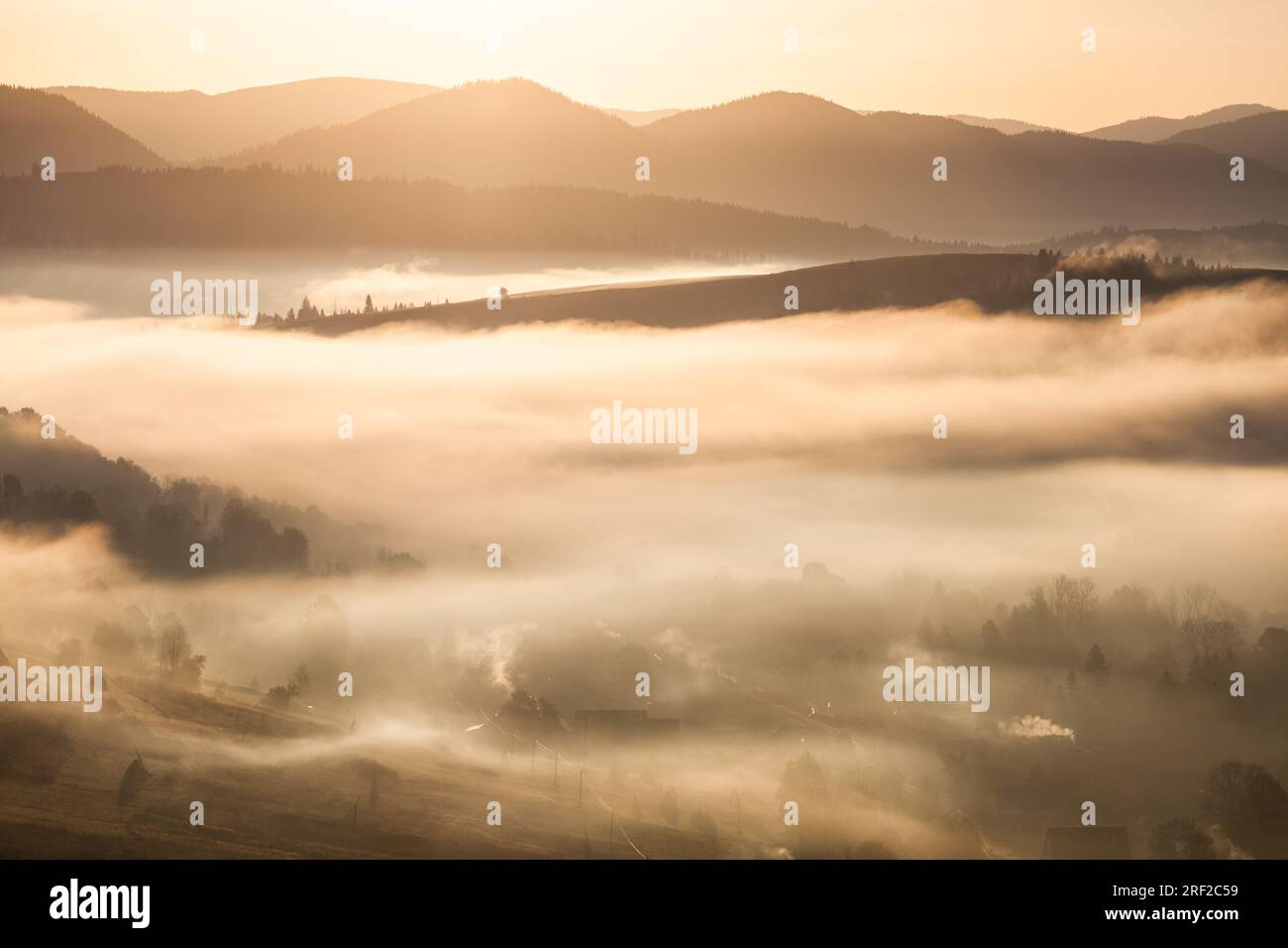 Farbige sunrise in den bewaldeten Berghang mit Nebel Stockfoto