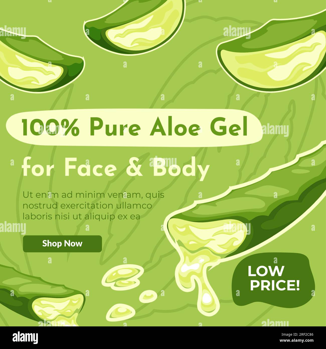 Pure Aloe Vera Gel für Gesicht und Körper Website-Seite Stock Vektor